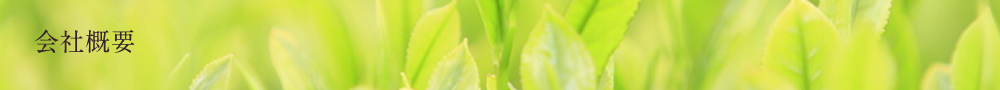 会社概要